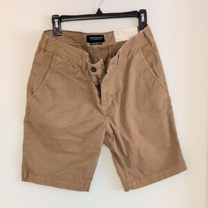 American Eagle Outfitters Men's Brown Flat Front Shorts